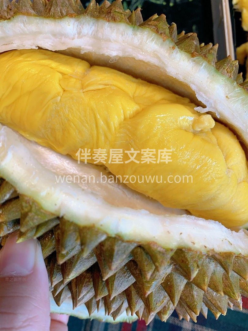 猫山王舍我其谁的魅力😍😍，谁禁得住！ 🙊 配图1