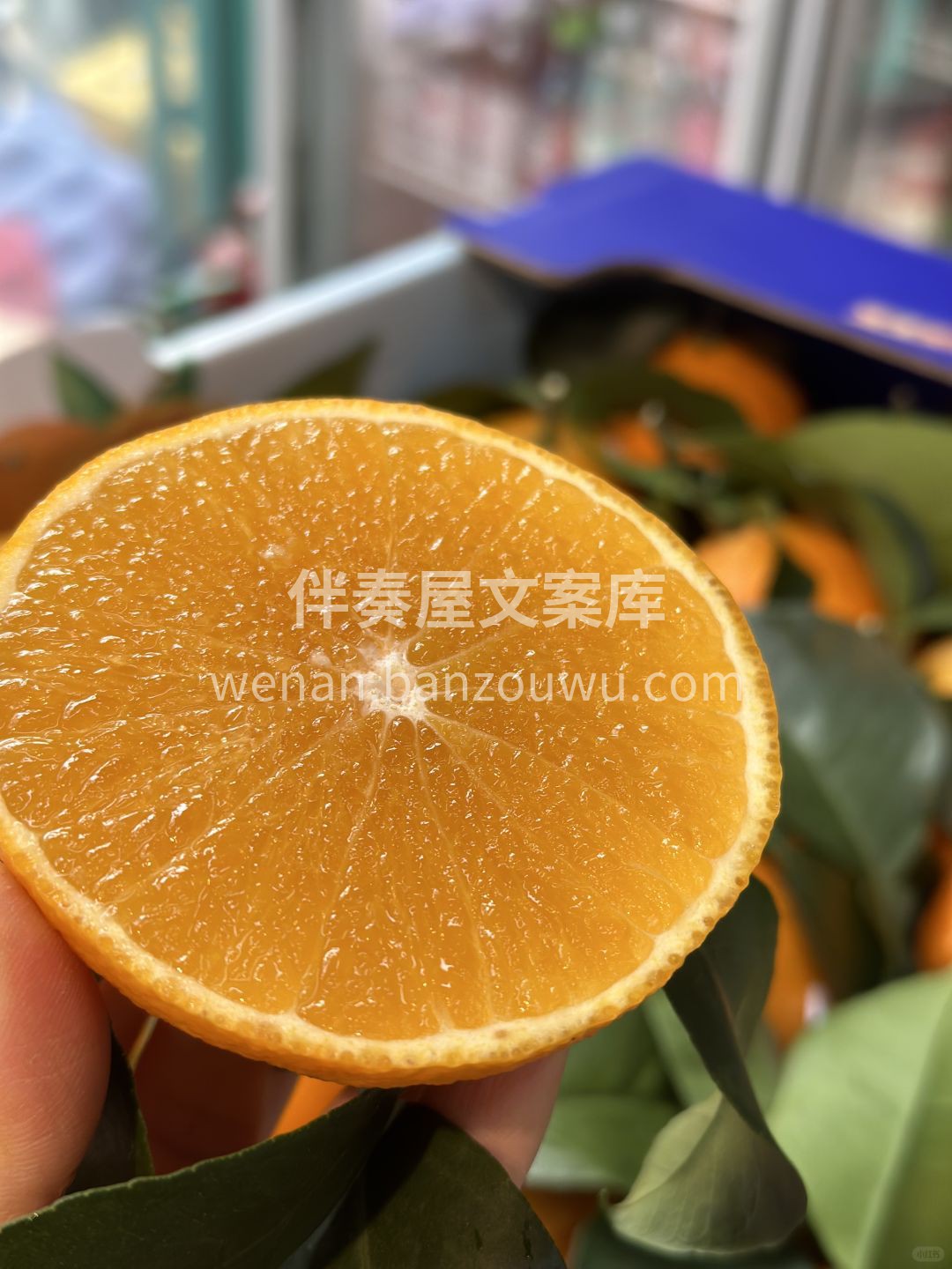 🍊红美人❤️ 柑橘中的爱马仕​ 真的是圈 配图1