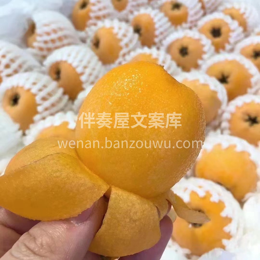 唤醒春天的味道? 五星枇杷来啦?，大自然 配图3