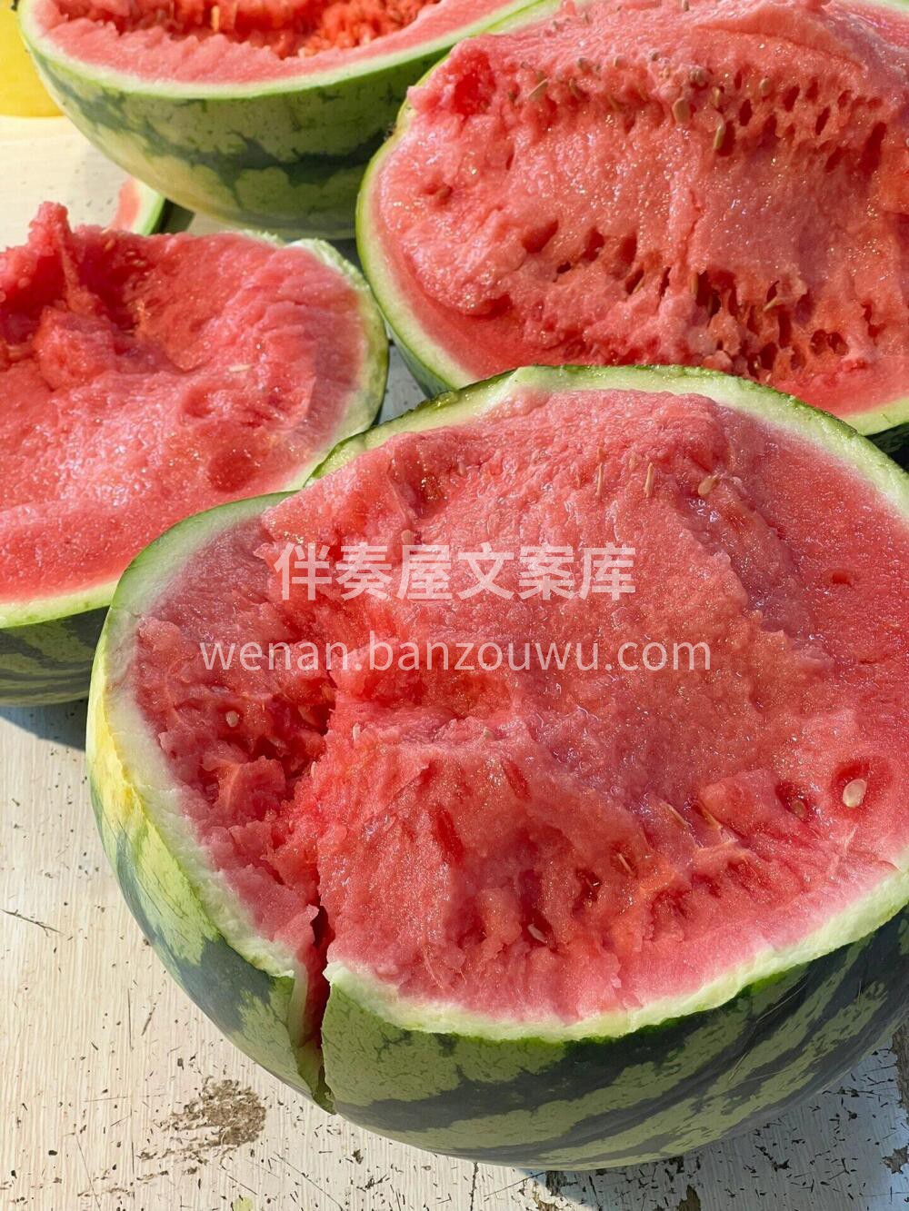 麒麟西瓜🌸美‮麒都‬麟🍉西瓜届‮明的‬星 配图2