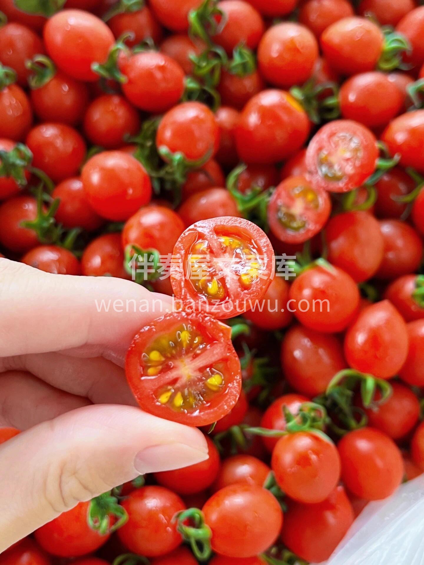 海南千禧爆汁小番茄🍅VC小炸弹💣 果香浓 配图3