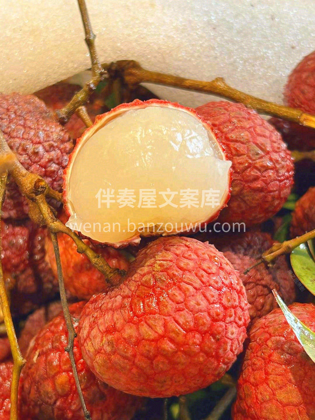 那凝脂如玉的身姿🤍咬一口是肥厚甘美、酸甜 配图2