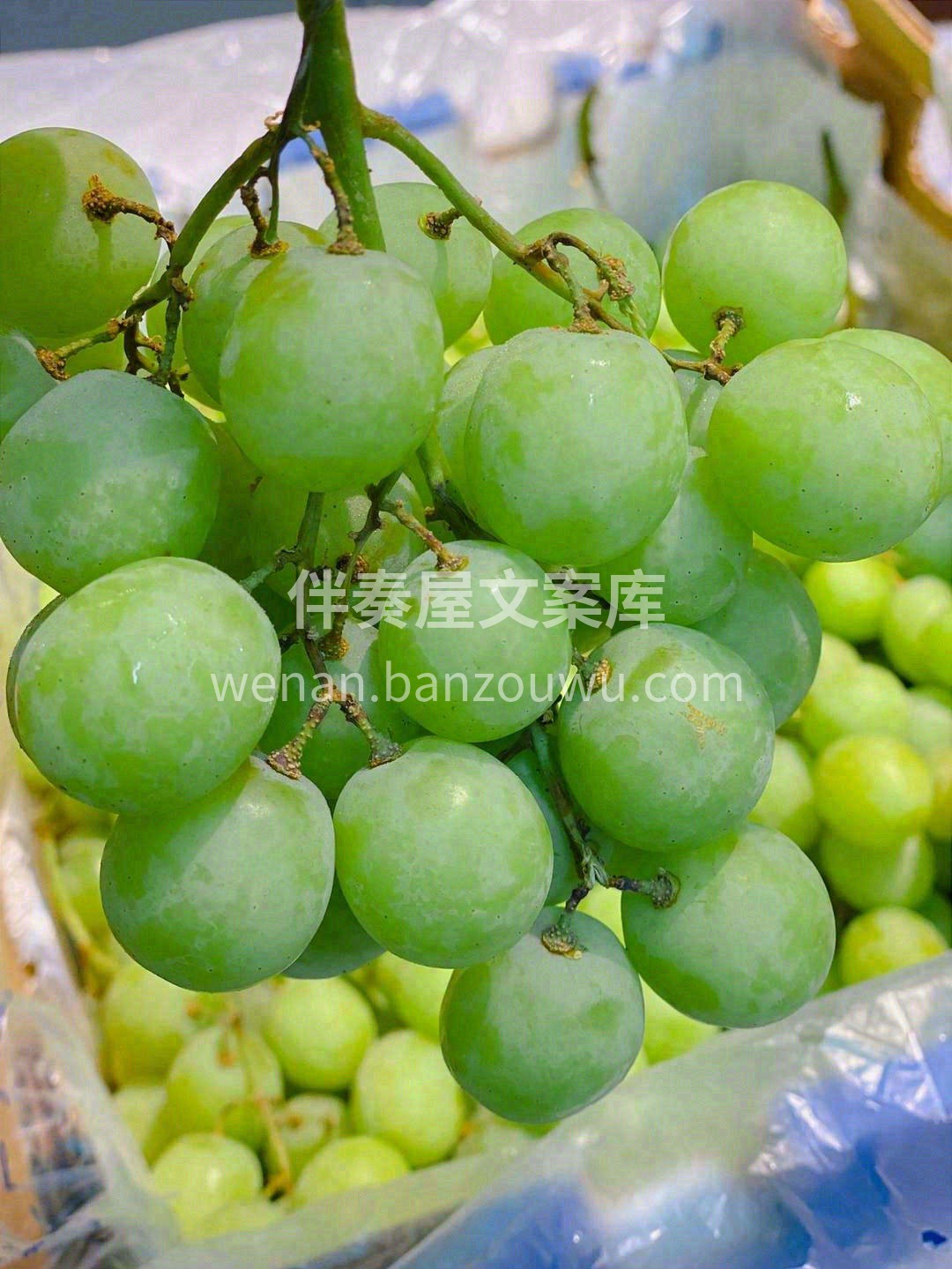 入口一咬有表皮包裹的微弹感💥，然后“BO 配图2