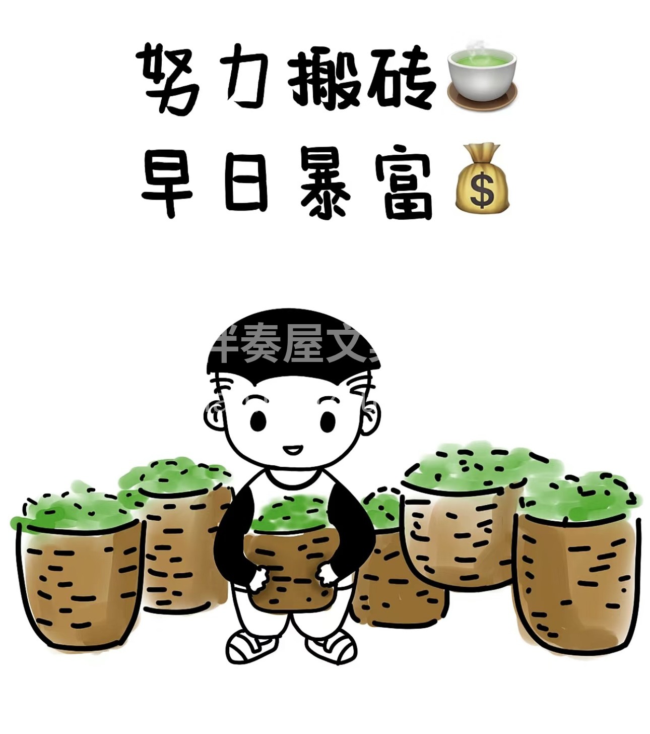 茶香袅袅，岁月悠悠。我们的茶叶，采自高山 配图1