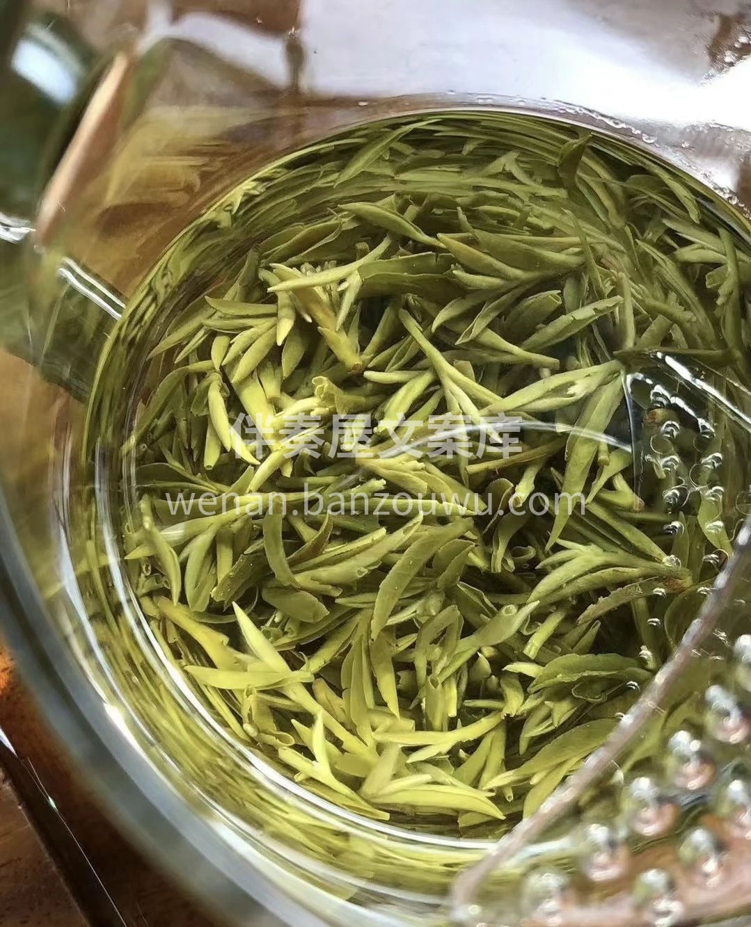 明前碧螺春，一饮到江南！ 春雨贵如油，落