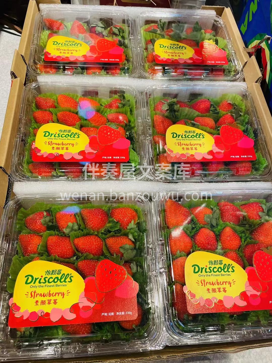 怡颗莓“素颜草莓”🍓 第一手👍Drisc 配图2