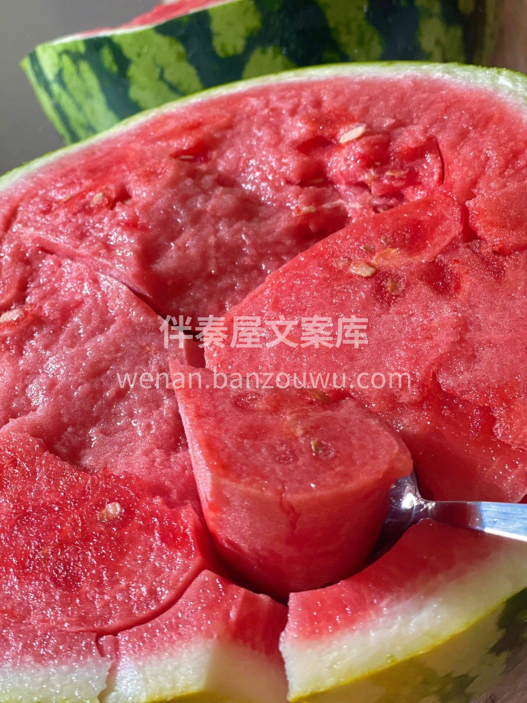 西瓜表白语录📝——我们👫在一起吧 要不然