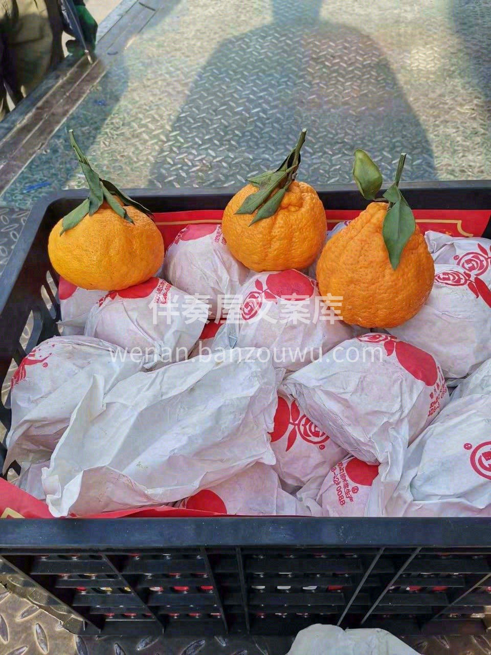 四川不知火丑橘🍊 不靠颜值的实力派👍，口 配图2