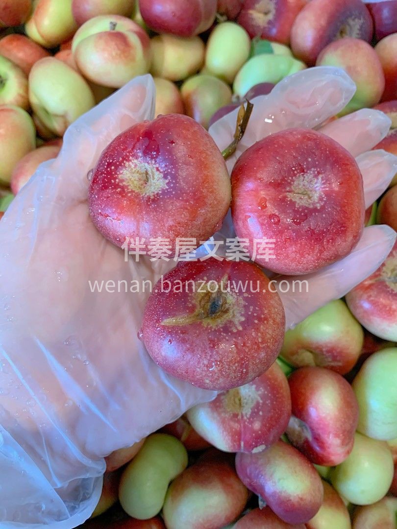 🍑纽扣油蟠桃，稀有珍品👍👍 个头迷你可爱 配图3