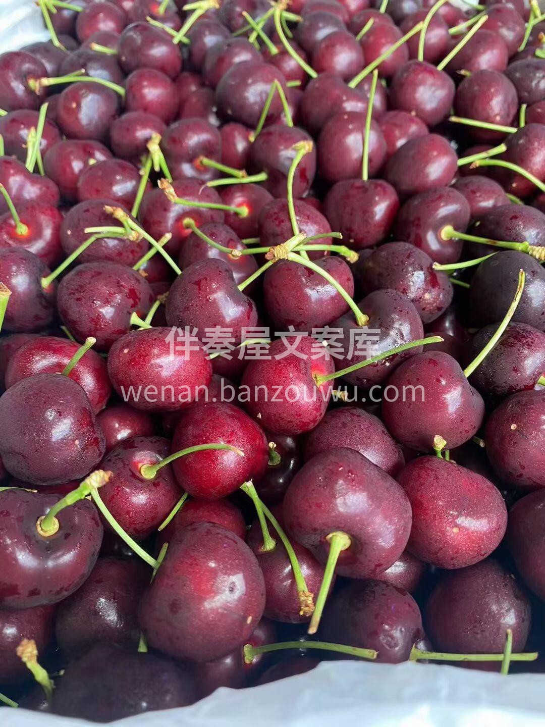 🍒【美国车厘子】新鲜到店‼️ 颜值天花板 配图3