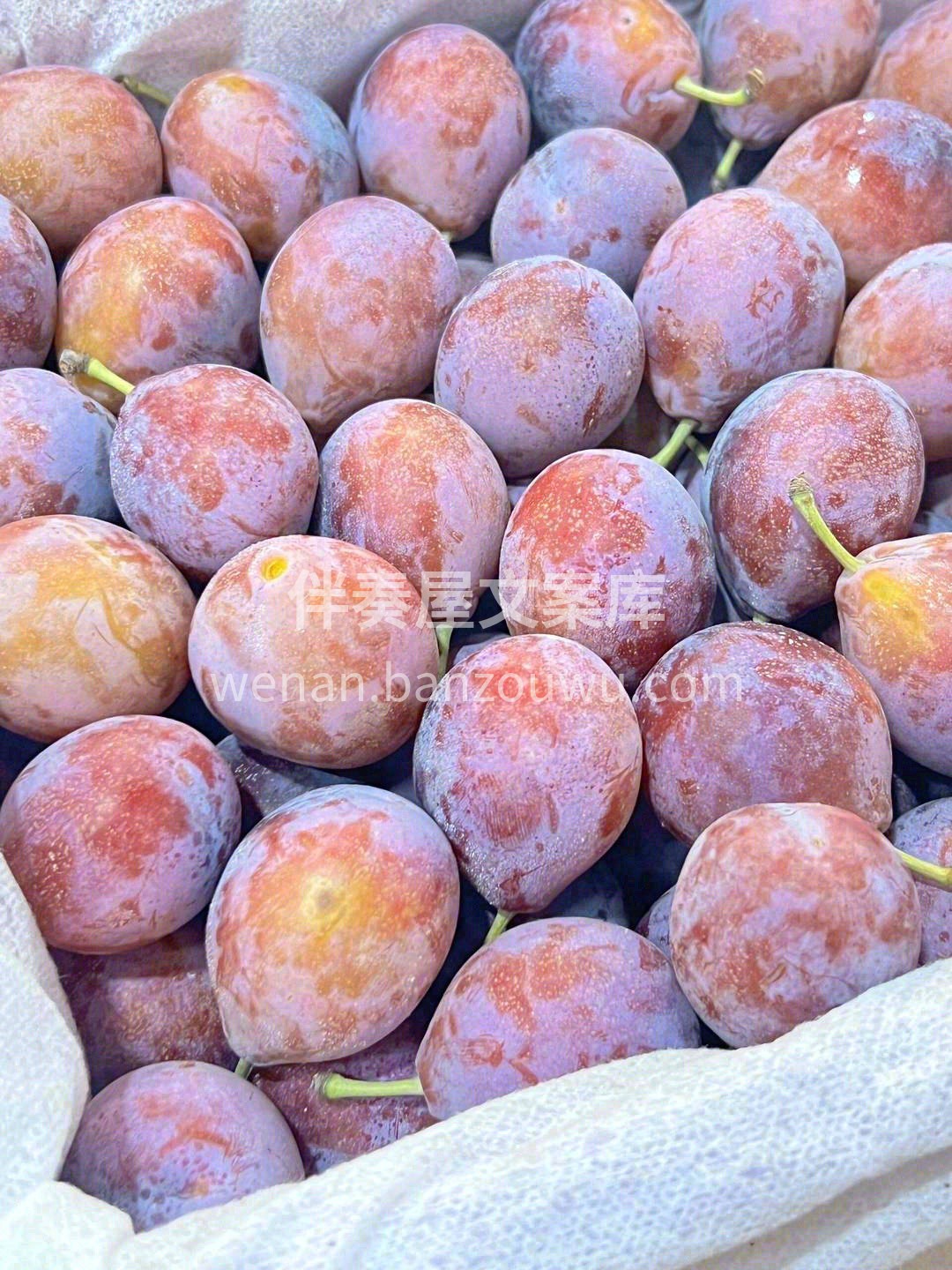 喜欢你「梅」道理🍹！ 一口咬出蜜糖汁的西 配图1