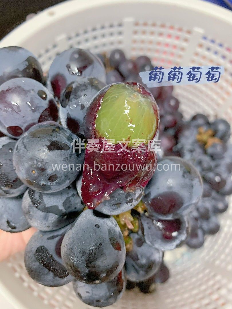🍇看这新到巨峰的紫黑色，这果粉，看着就甜 配图2