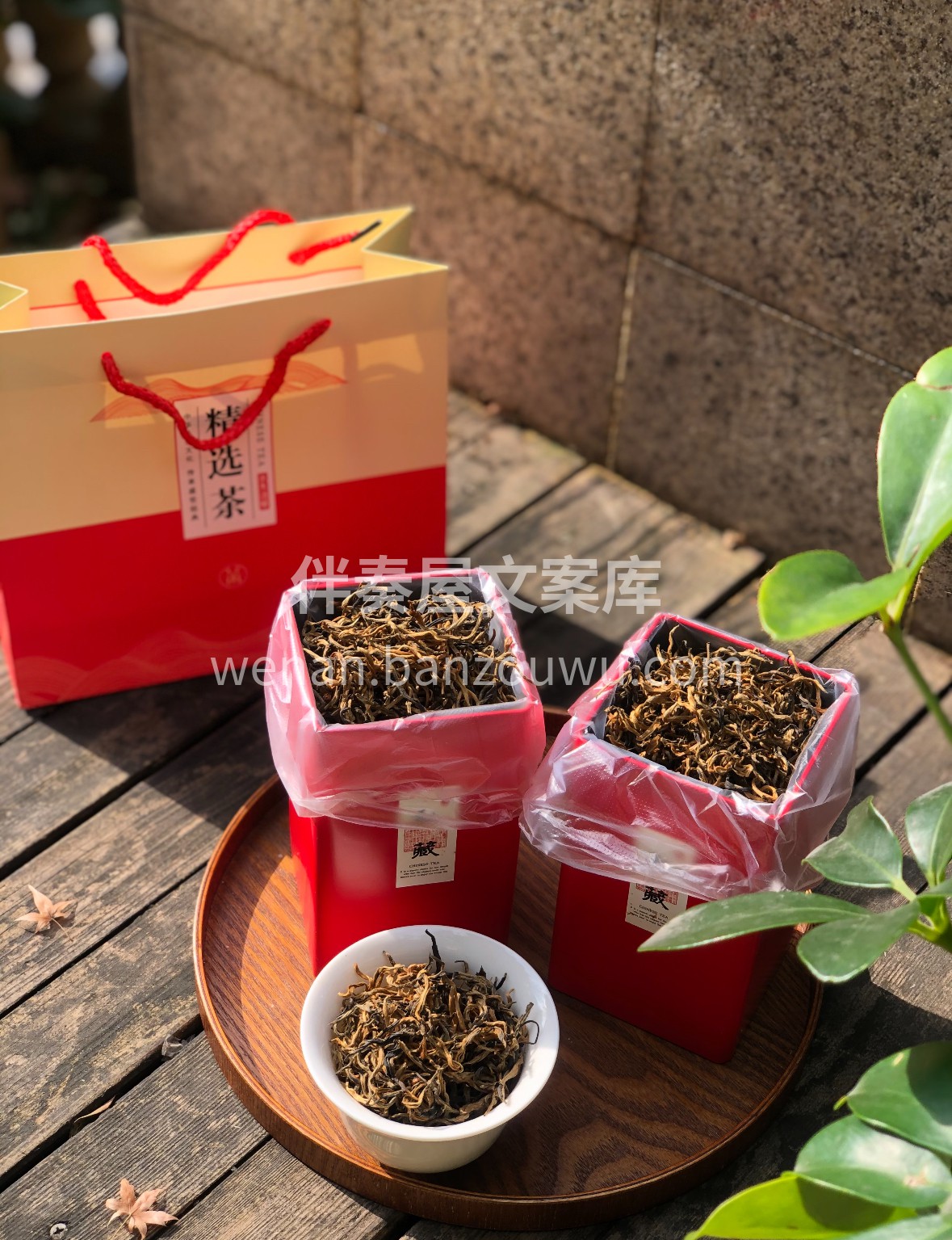 云巅茶山的暖阳淬炼，芽叶紧结如金丝缠绕。 配图1