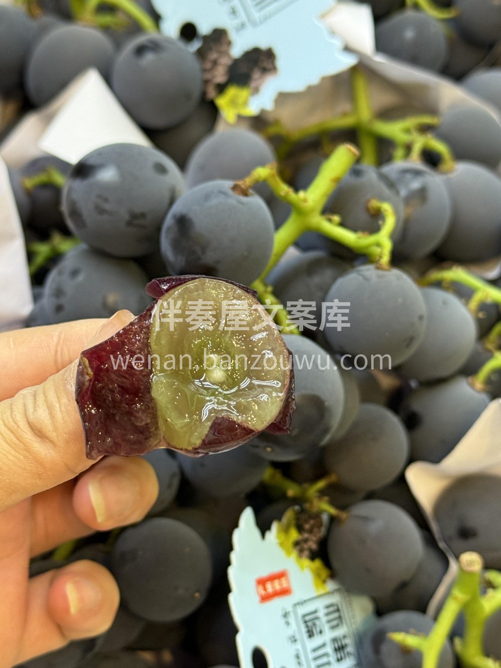 紫水晶般的果串沉甸甸挂满枝🍇，轻轻一捏就 配图1