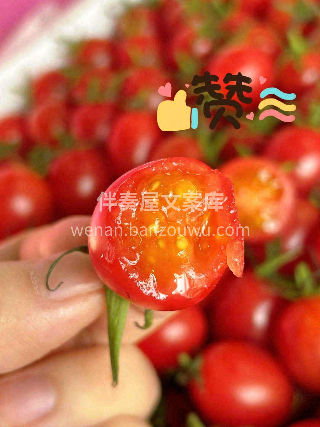这个秋天，没你不行！ 🍅玲珑小番茄，❤番 配图3