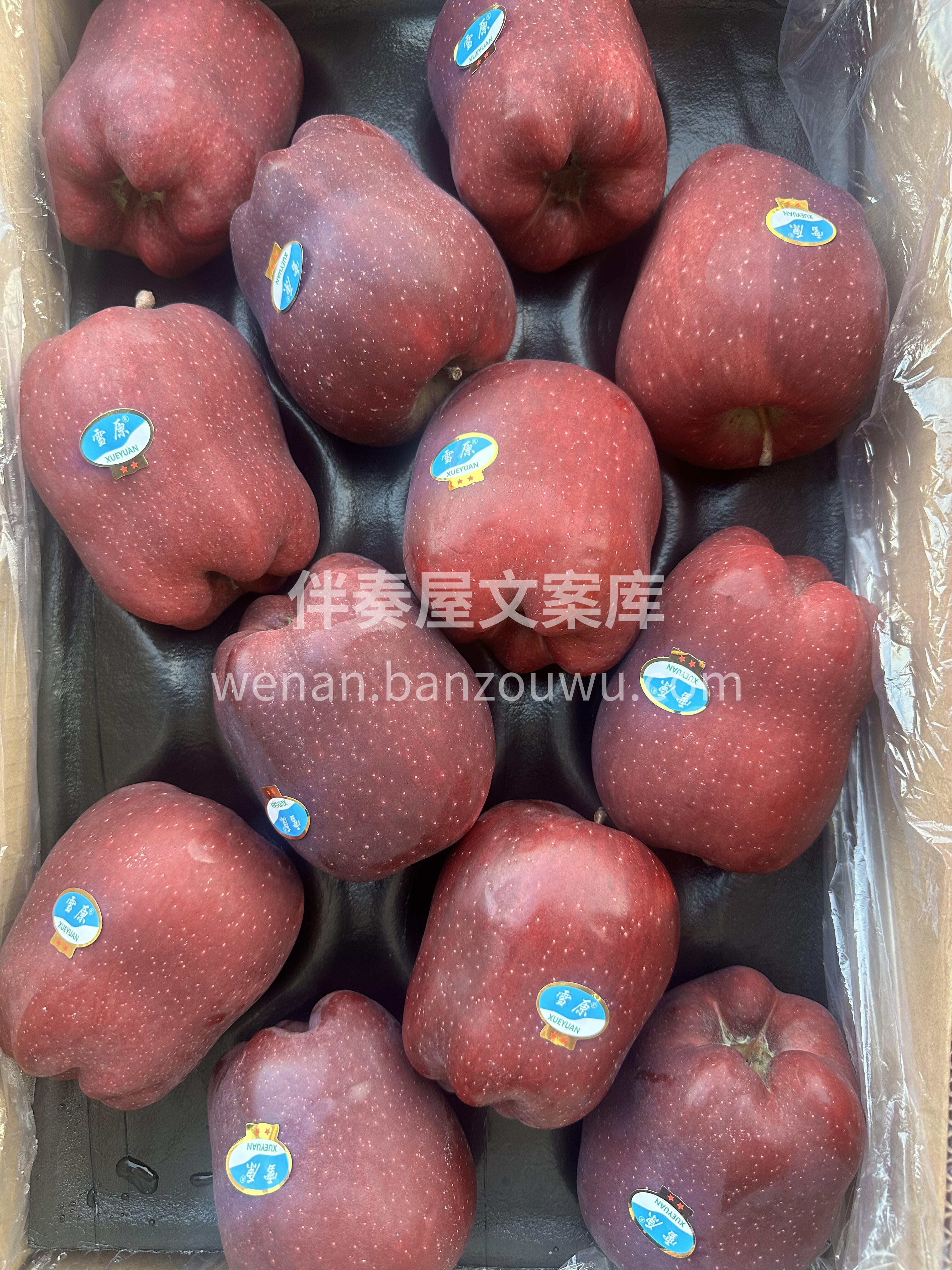 🍎 雪原花牛 到货啦雪原蛇果新鲜到货~  配图2