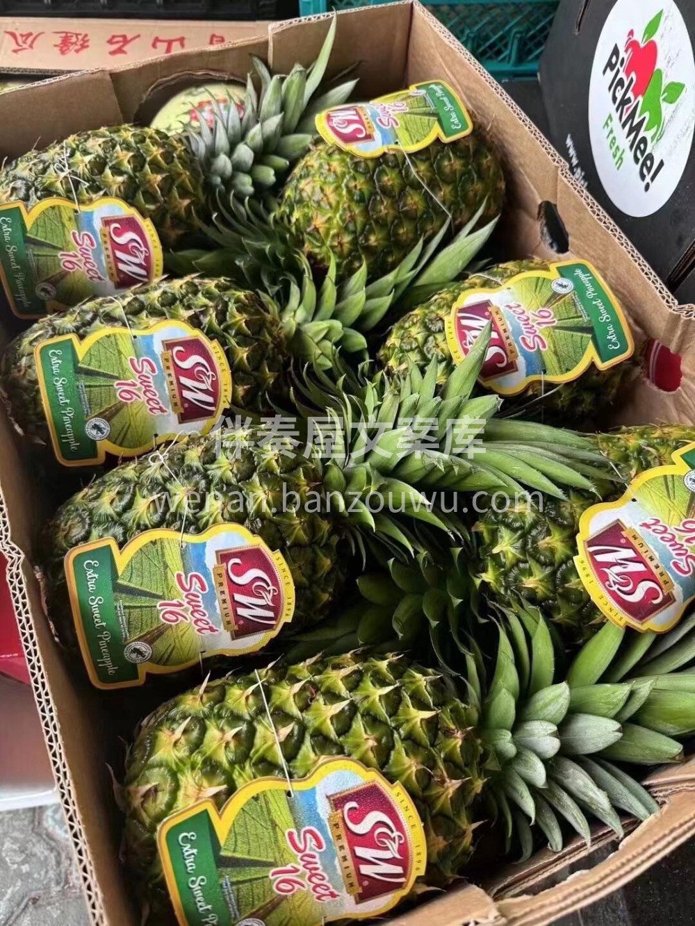 SW蜂蜜凤梨,✅ 每一口都甜到心里,超甜 配图3
