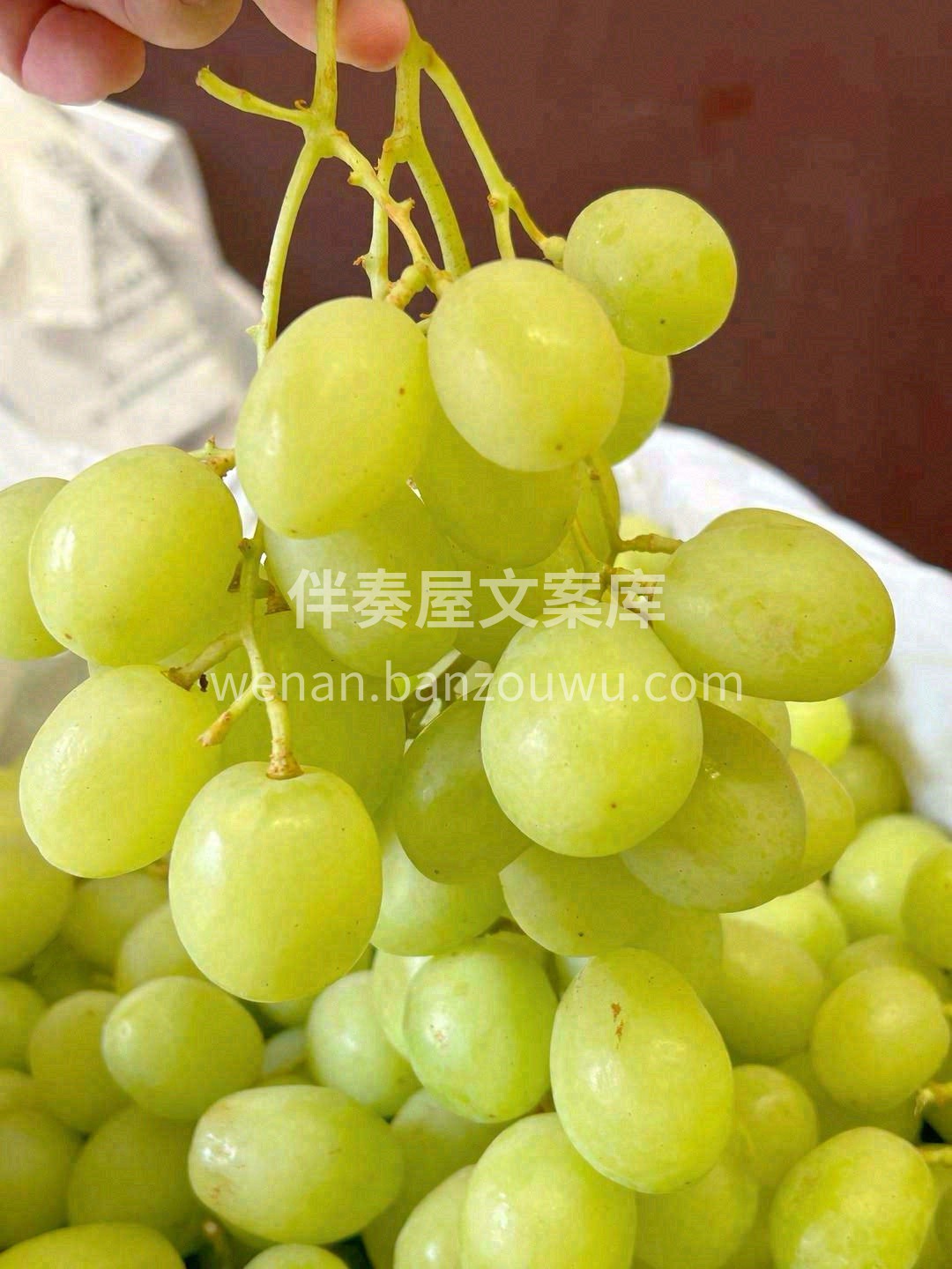 这串甜地球，拿在手上晶莹剔透🍇，入口“B 配图1