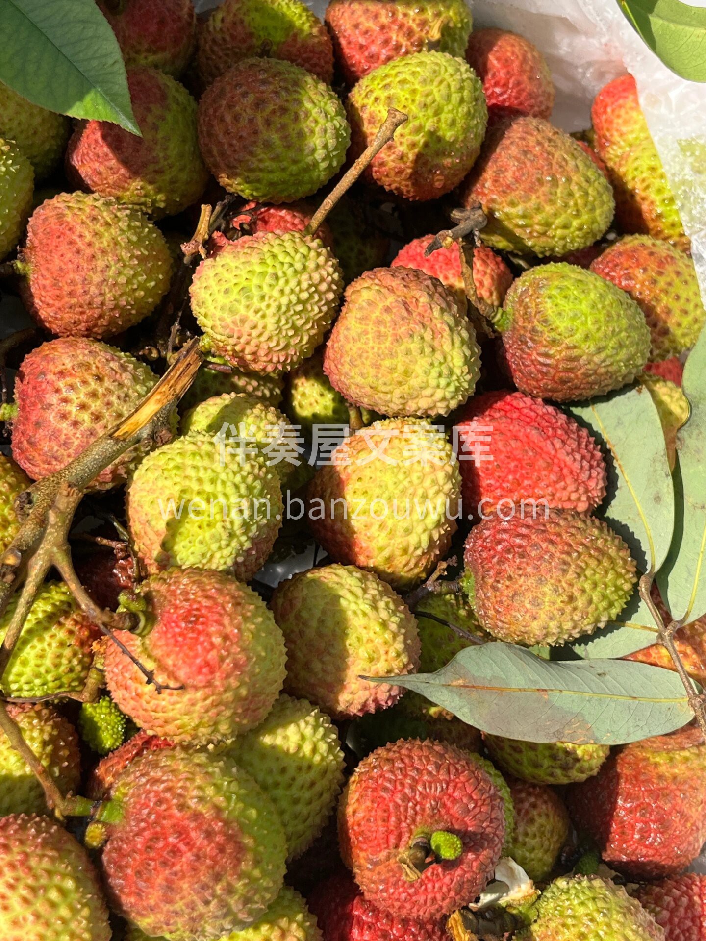 有荔枝🍊🍊🍊的季节，再热🔥的天都充满了期 配图3