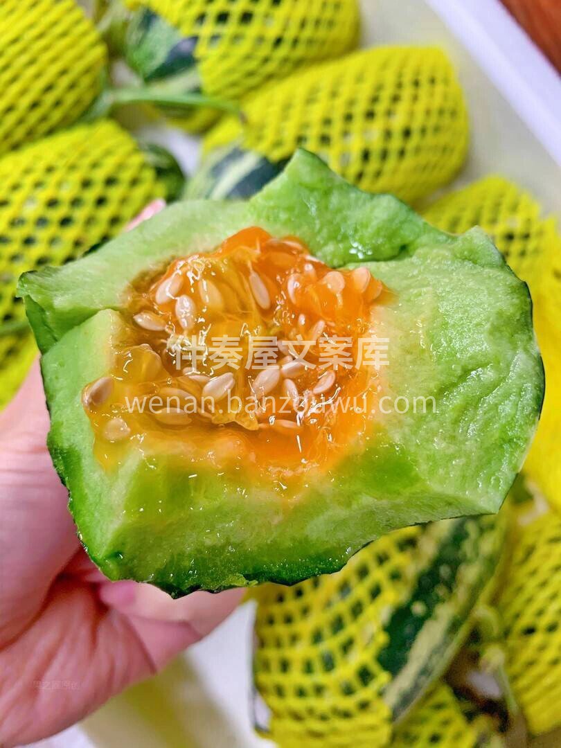 春天到啦🌱头茬头茬羊角蜜瓜已经上市💞 果 配图3