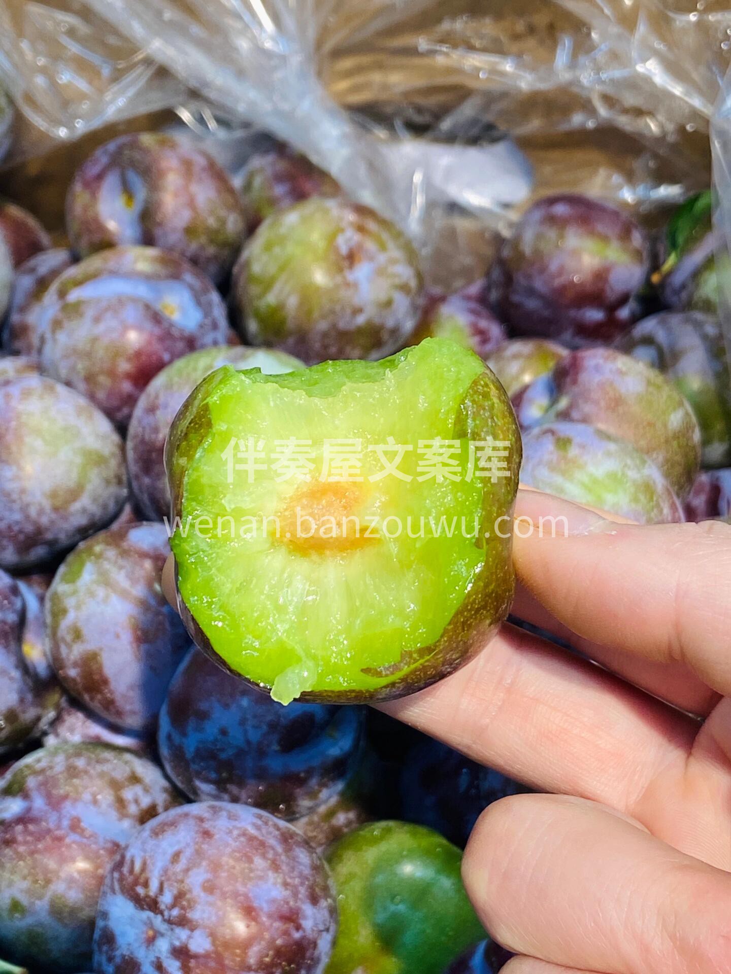 四川·青红脆李☘️ 松脆的口感💢带着一丝 配图2