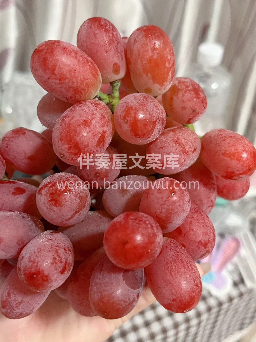 水果是藏在日常里的小欢喜✨ 忙碌中咬一口清甜🍎🍐🍊 疲惫悄悄 配图5