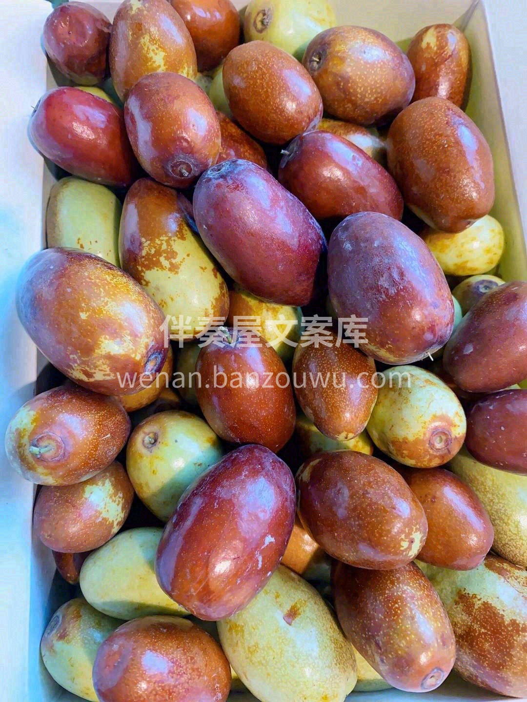 🌈夏天的甜蜜记忆，马牙枣也应该拥有一席之 配图2