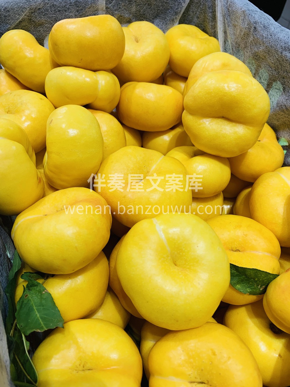 🍭特别甜，特别好吃的的黄油蟠桃！ 🍑賊好 配图3