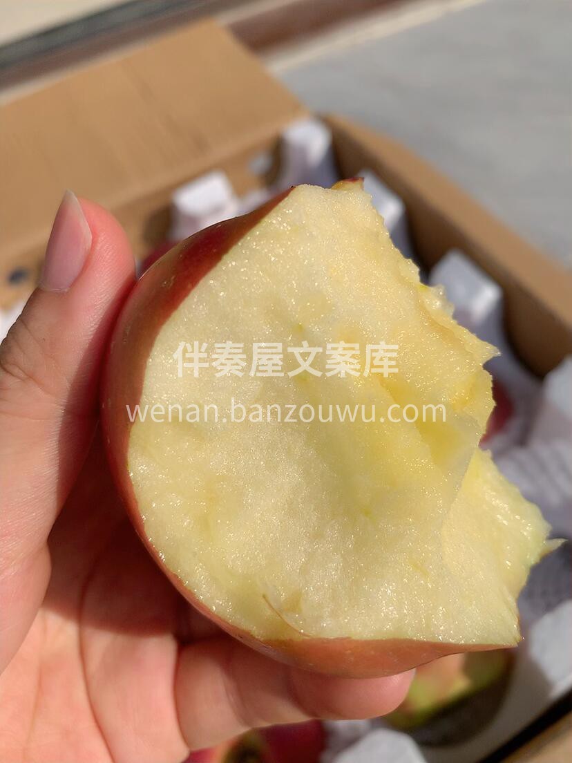 大凉山丑苹果🍎 年年都靠抢！这才是树上熟 配图3