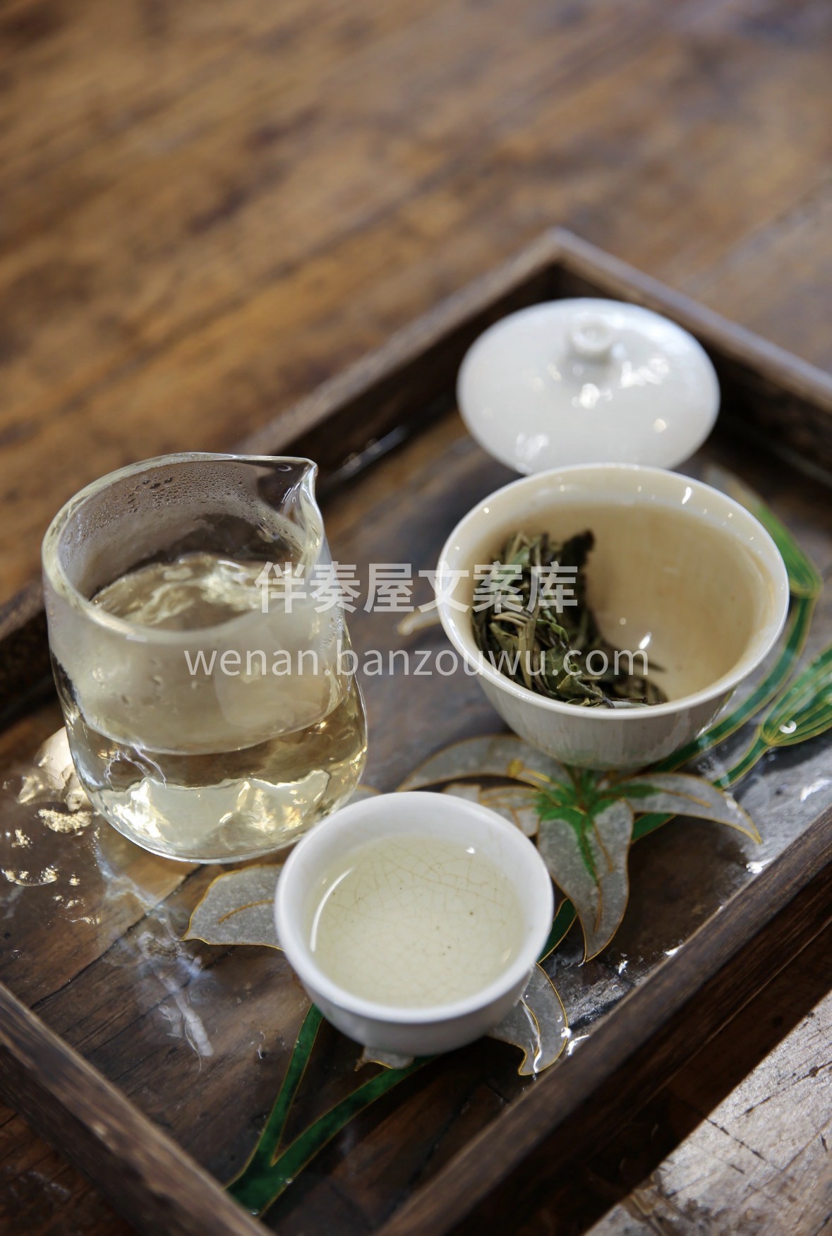 落水成花，白牡丹。 2026新年 ✨白牡 配图2