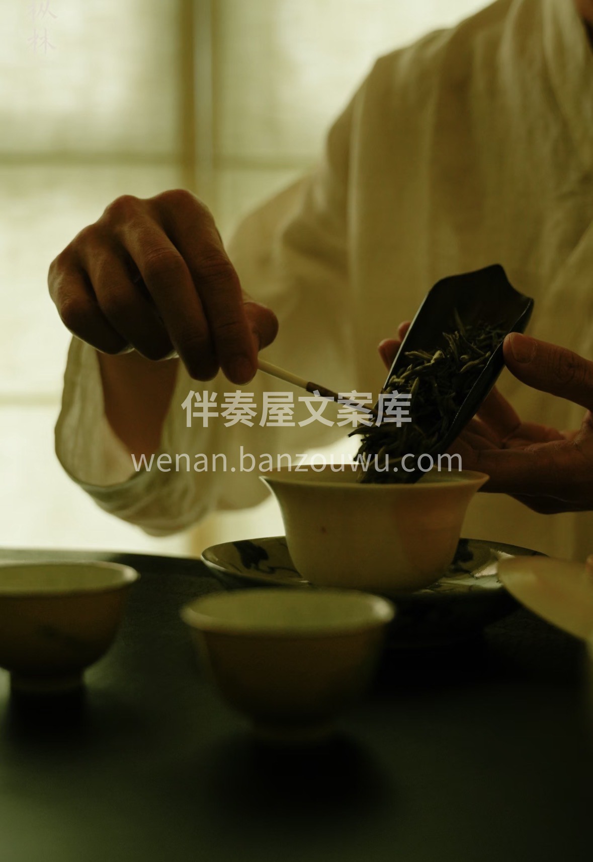 ✨一杯福鼎白茶，藏着岁月温柔。以茶会友， 配图1