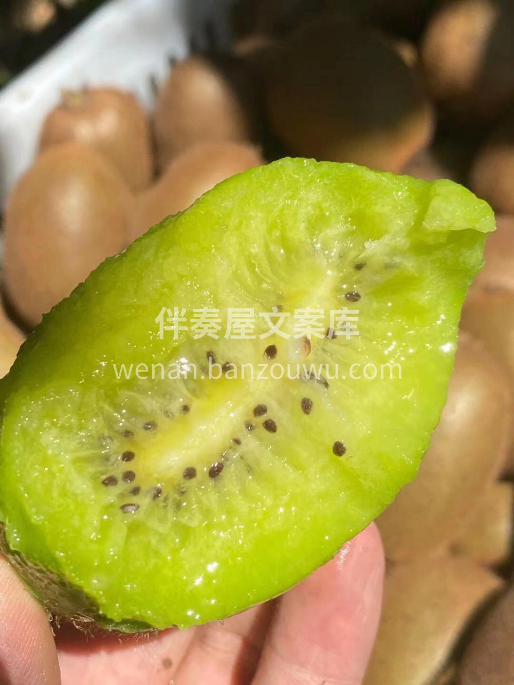🥝此刻只想来颗猕猴桃必须是水水的甜甜的🍭 配图2