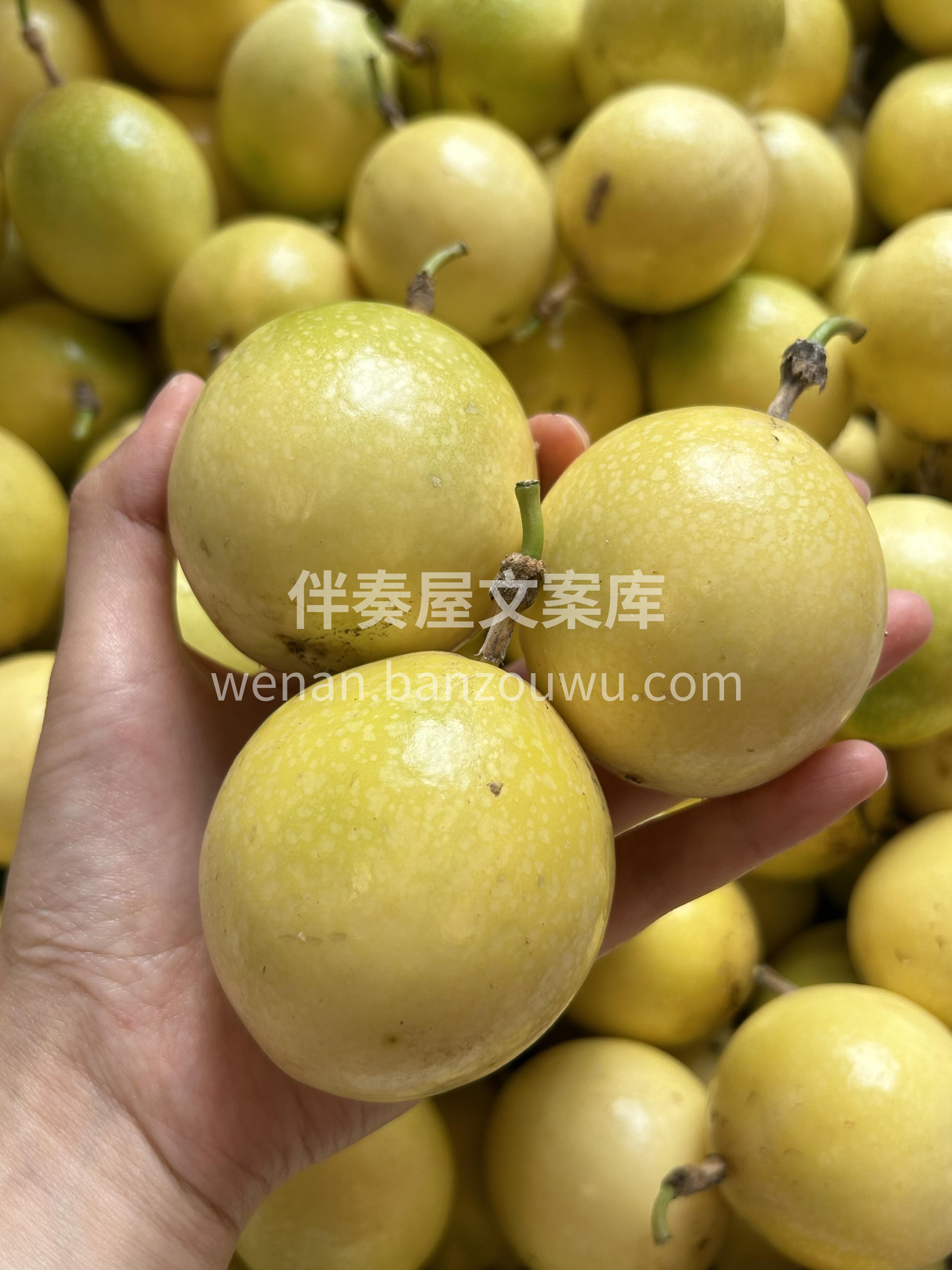 吃了再美一点，白一点 秋天必须要变美的季 配图1