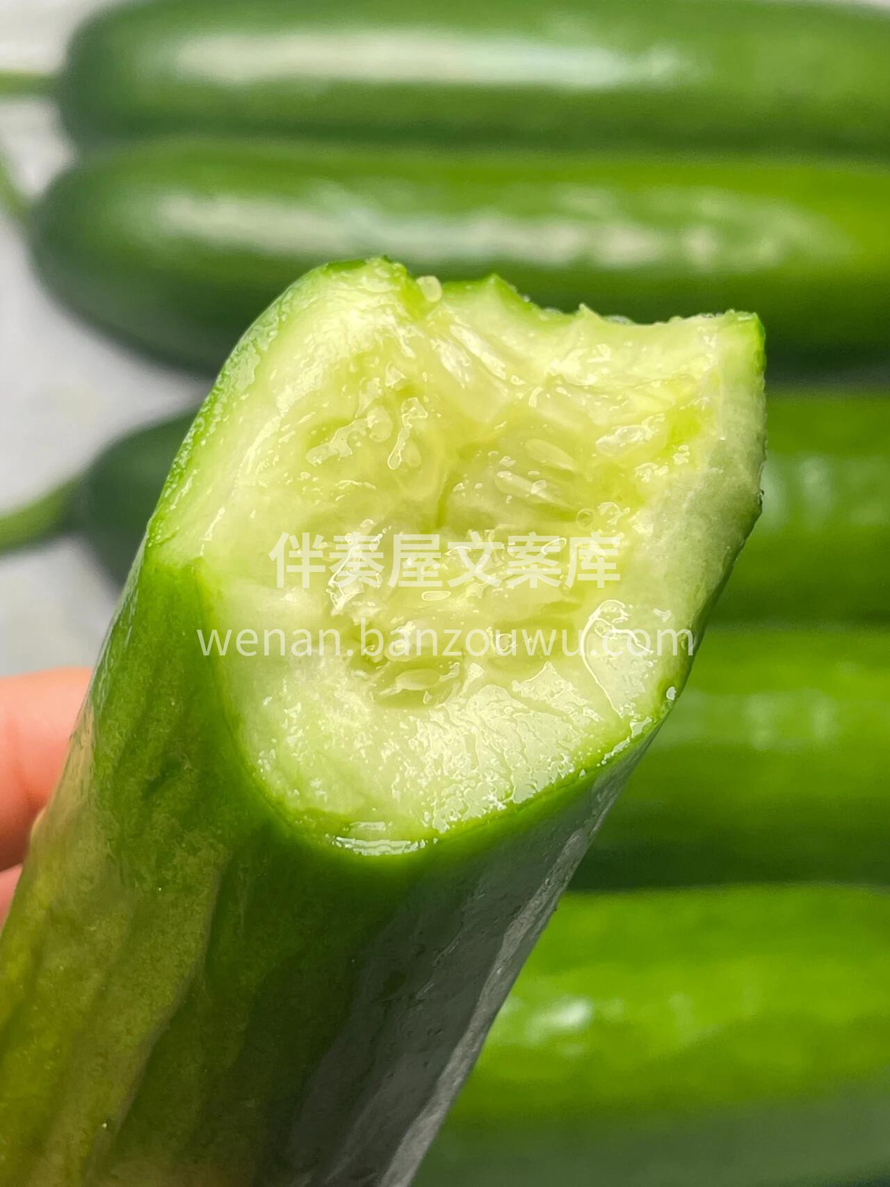 🥒水果黄瓜！💚 解腻神器来了✨ 水果黄瓜 配图1