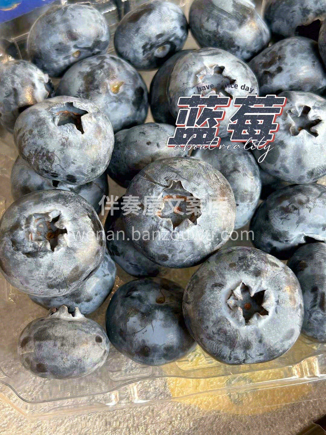 “天花板”级别的蓝莓🫐 大颗的肉感💧 颗 配图1