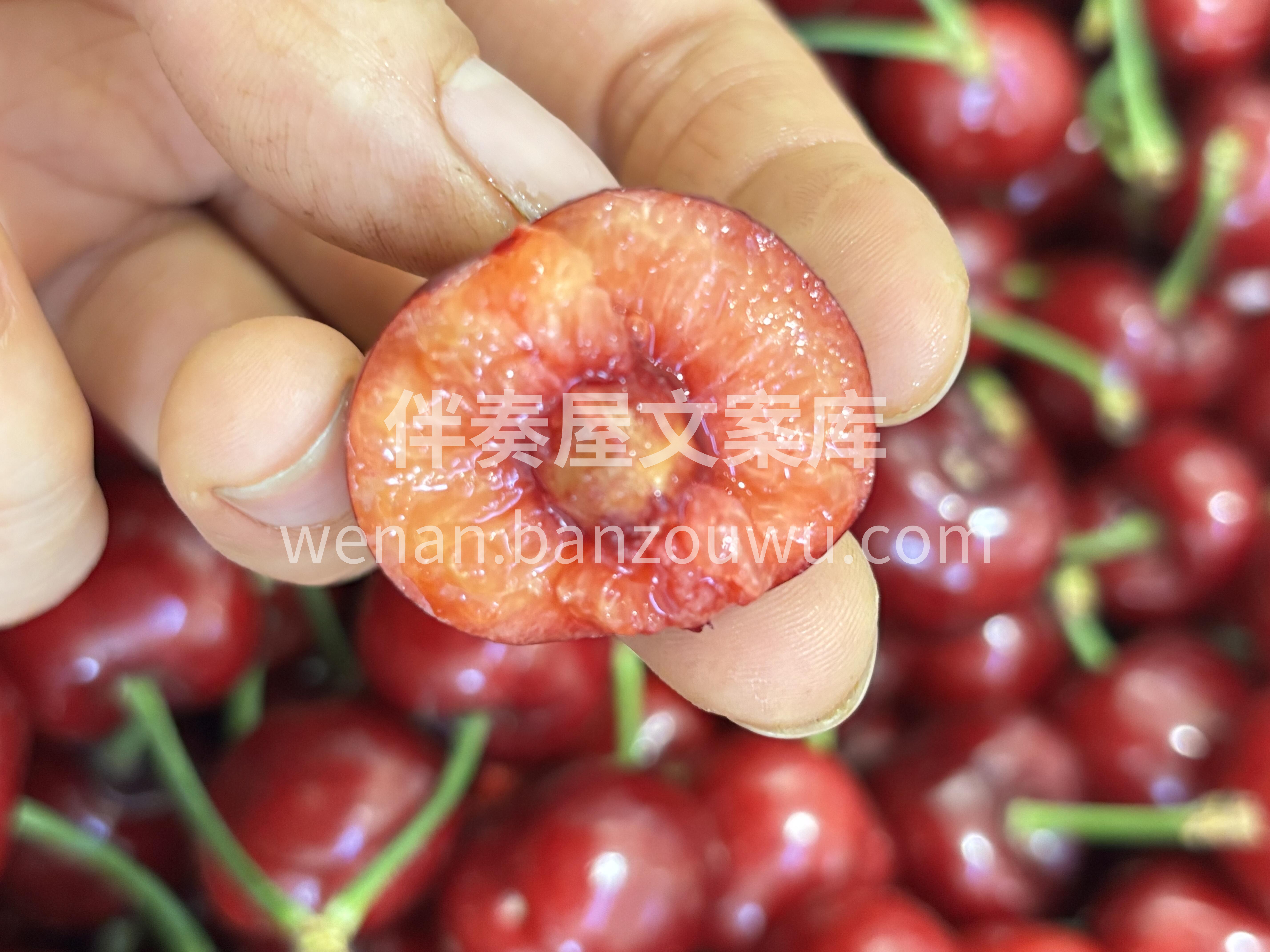 美早樱桃🍒，不负时光，不负年华💗 春季里 配图1