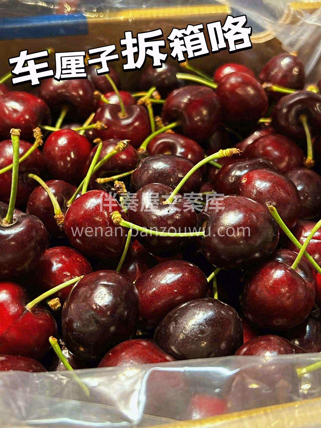 请原谅我的粗俗👍 没有高级的言语，没有精 配图3