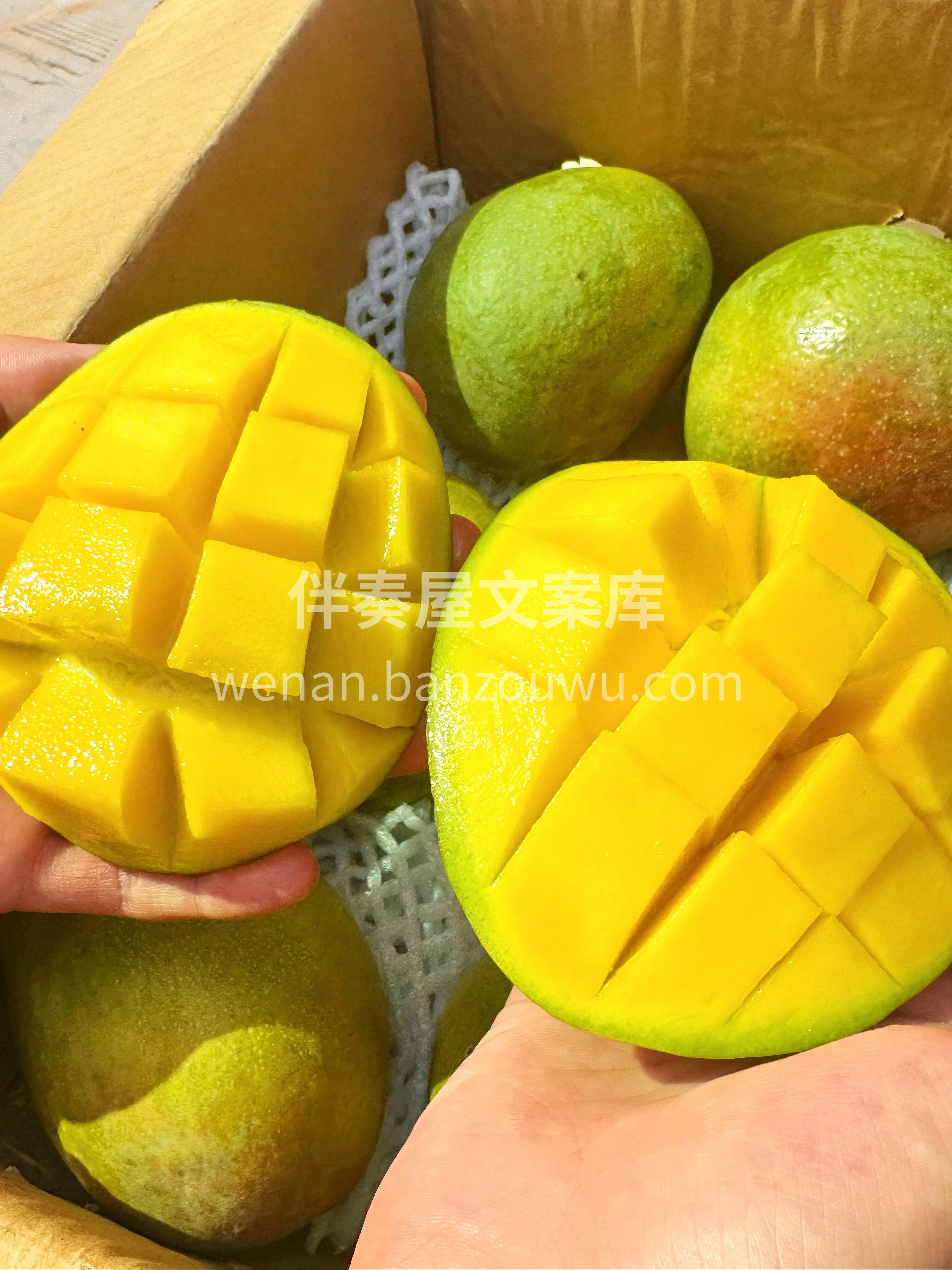 🥭 澳芒上市啦！🥭 个头超大果肉厚～一个 配图2