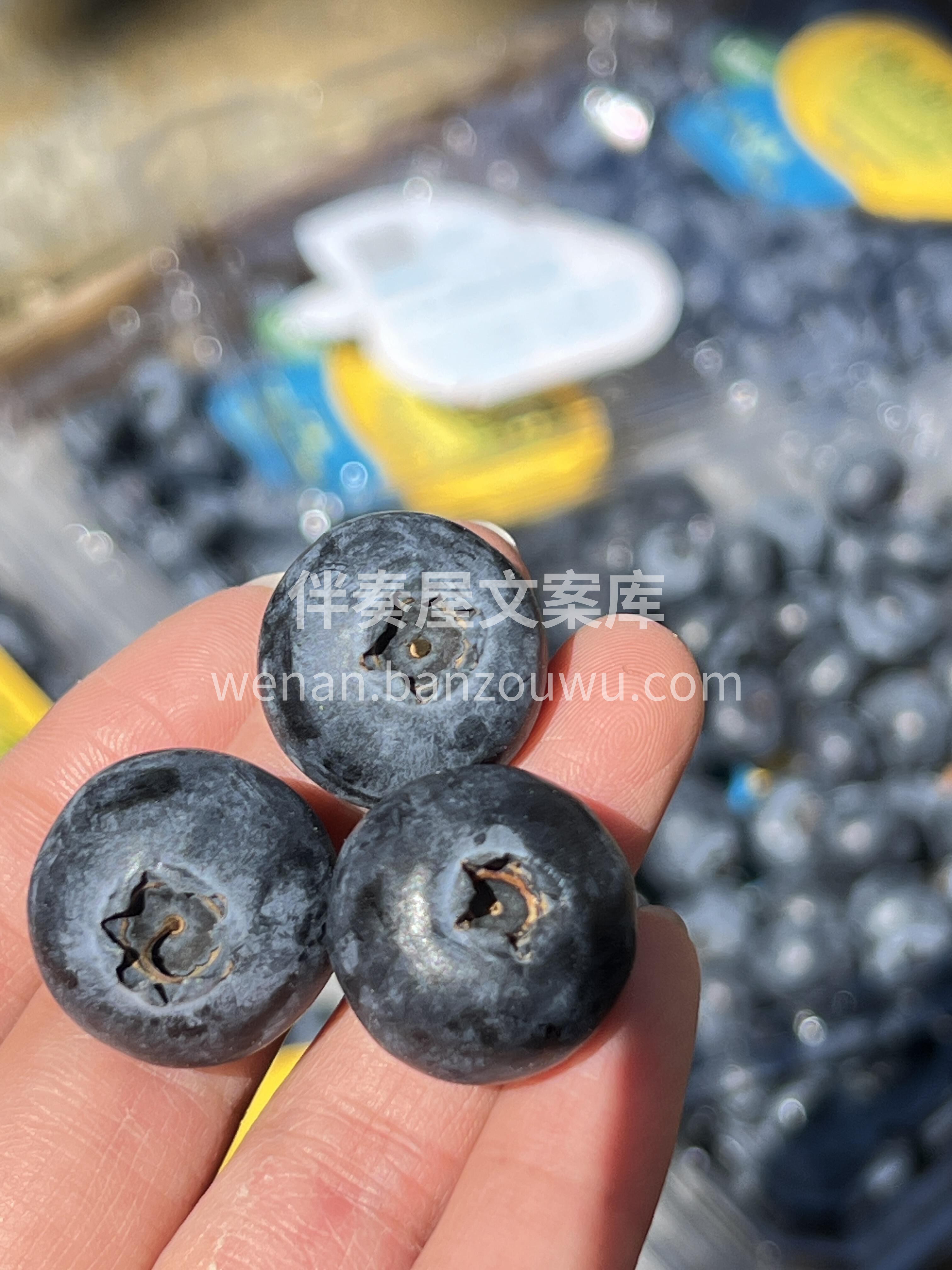 🫐怡颗莓蓝莓！💙 护眼小蓝球上线✨ 怡颗 配图1
