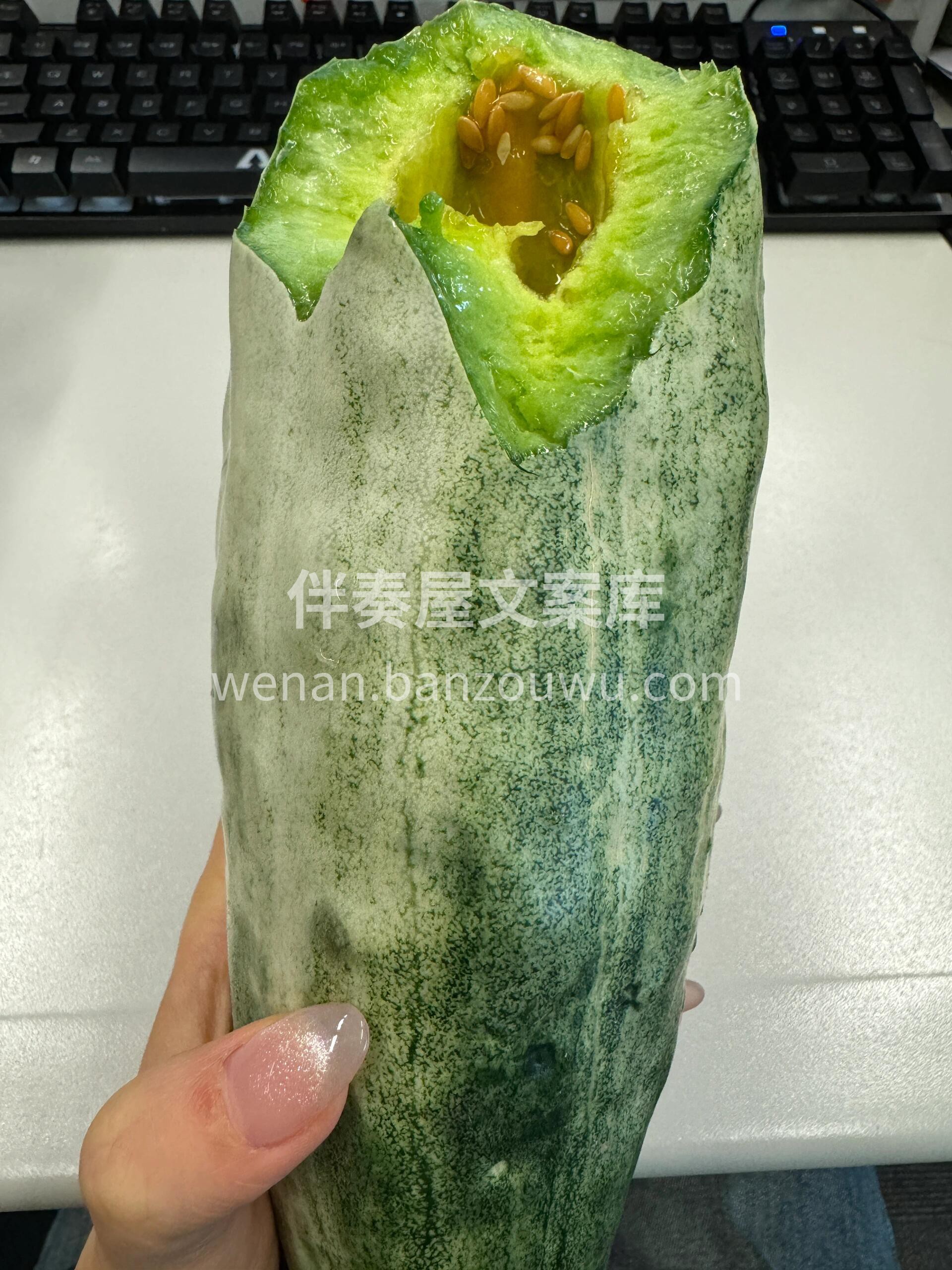 🍈羊角蜜瓜！✨ 春天的第一口甜🌸 羊角蜜 配图1