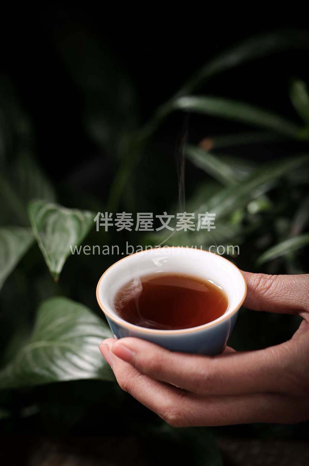 🎁新年茶礼｜普洱熟散茶上线～醇和绵柔，暖 配图3