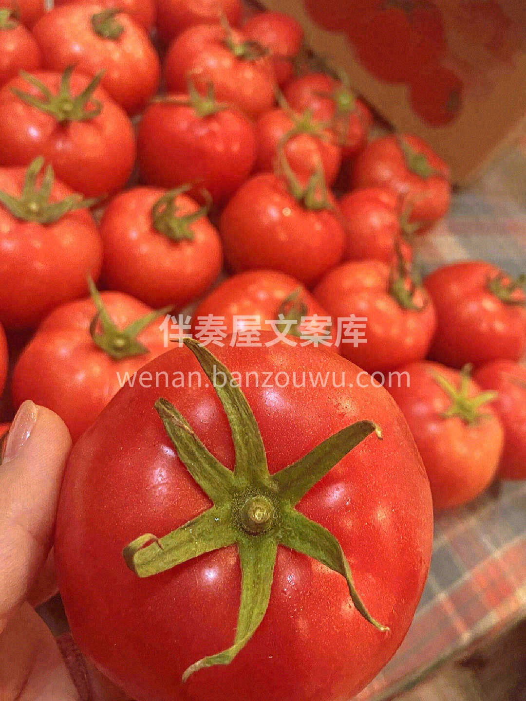 轻咬开一个口😋，满满的汁水💦，然后再把嘴 配图3