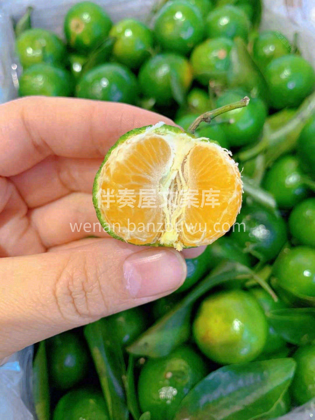 皮薄肉嫩🐋、青色的外皮清香怡人🍀 黄澄澄 配图2