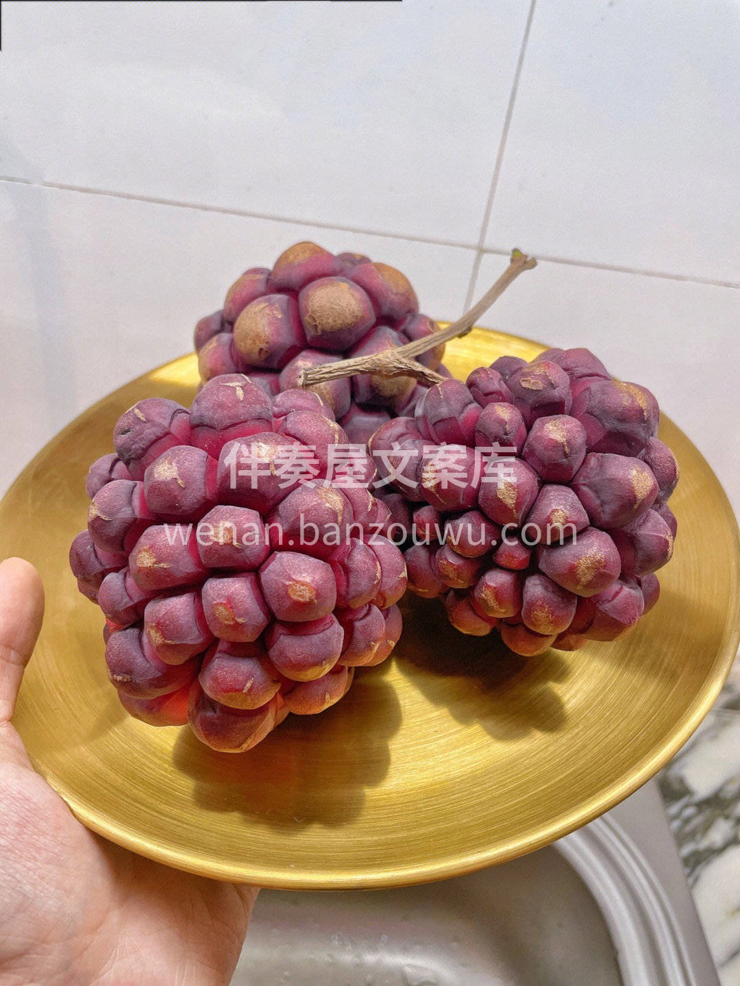 👉由于黑老虎当中含有非常丰富的维生素c👍 配图3