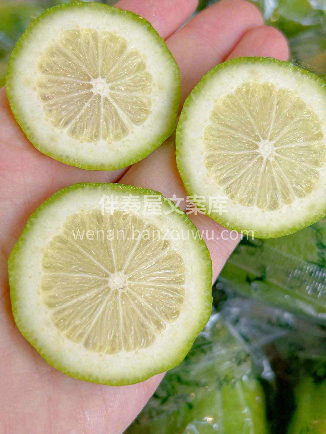 🍋柠檬是酸的，加点🍯蜜就甜了 🍃生活是苦 配图2