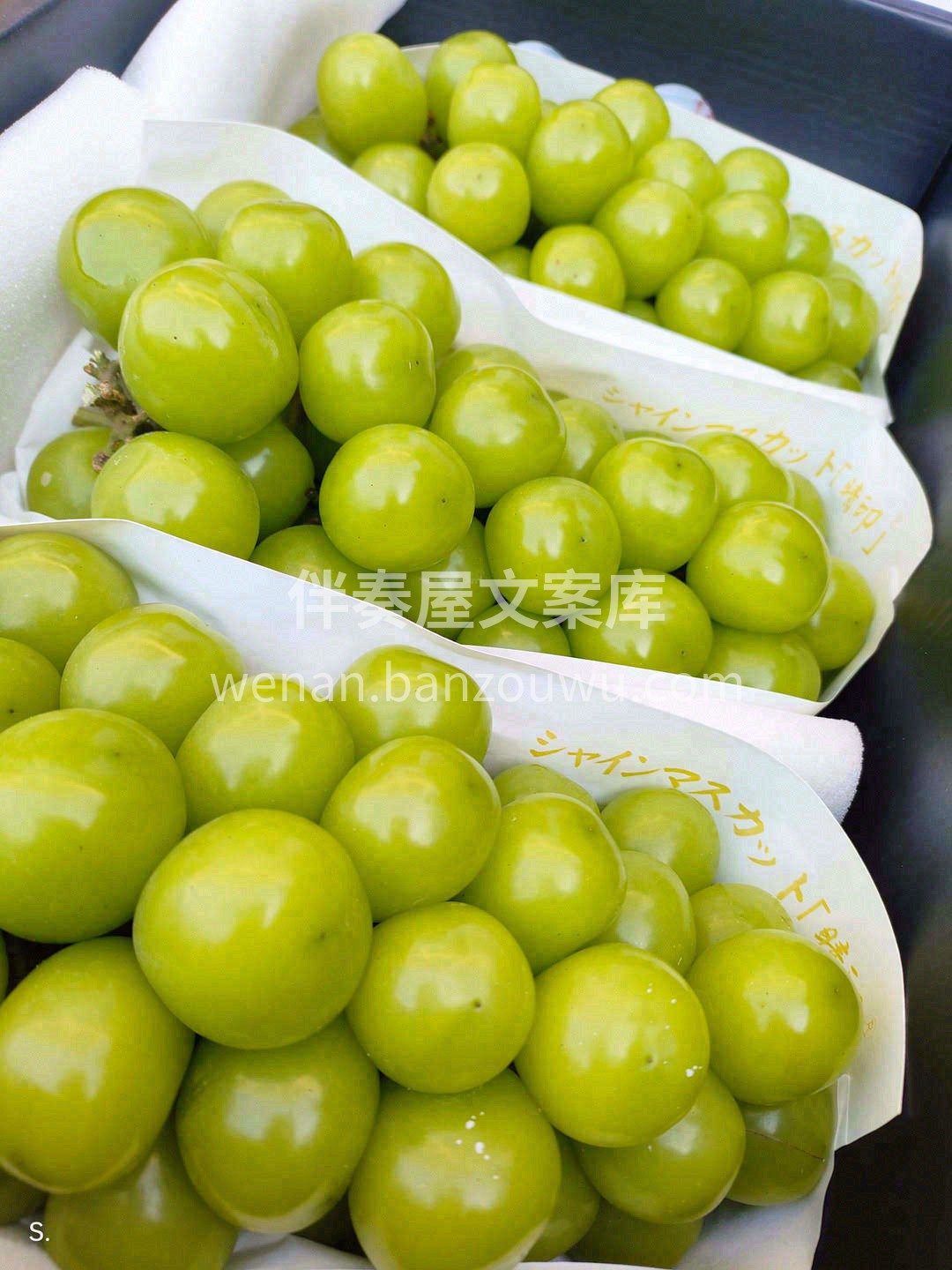 特级精品晴王‼️颗粒巨大，串型优美，颗颗 配图1
