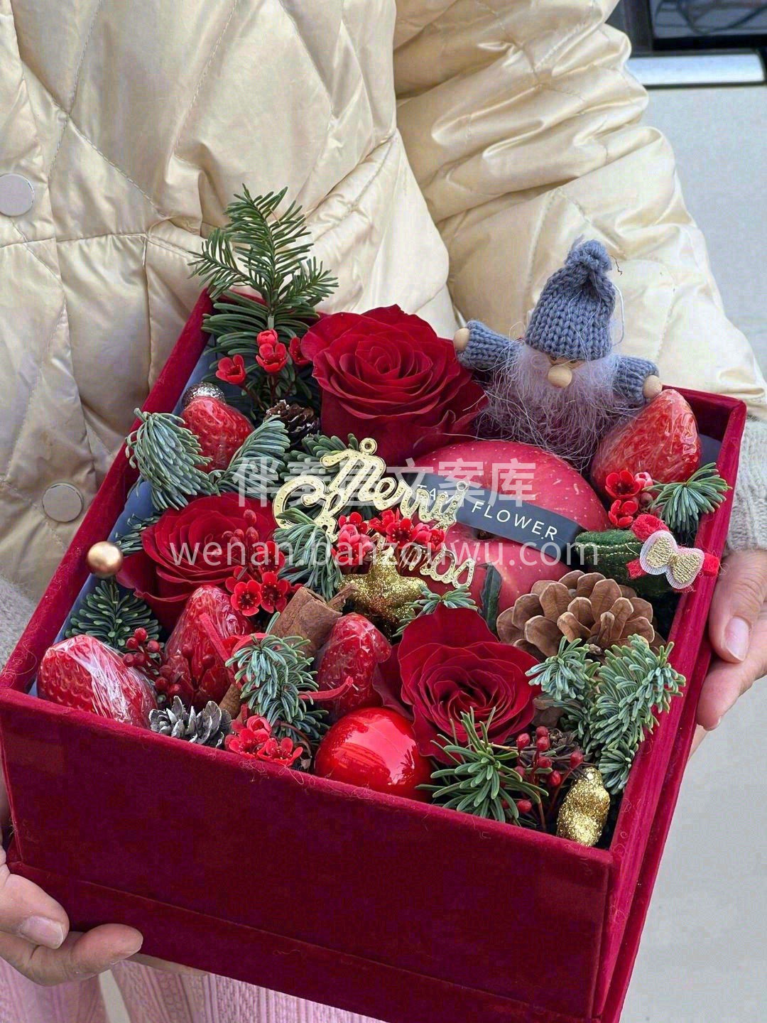 🎄✨. 🎄✨🎄✨🎄✨🎄 ✐. Mᴇʀʀʏ