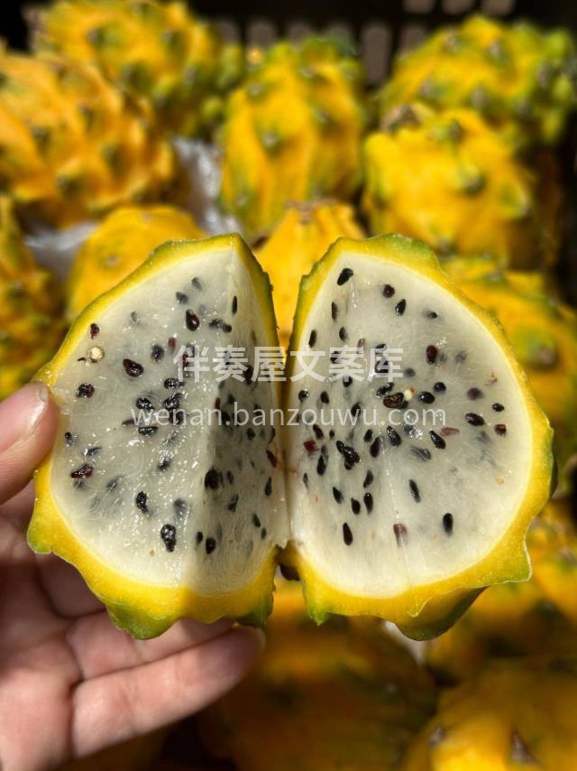 💞遇见即是幸运✨ 黄金燕窝果💛，号称“肠 配图1