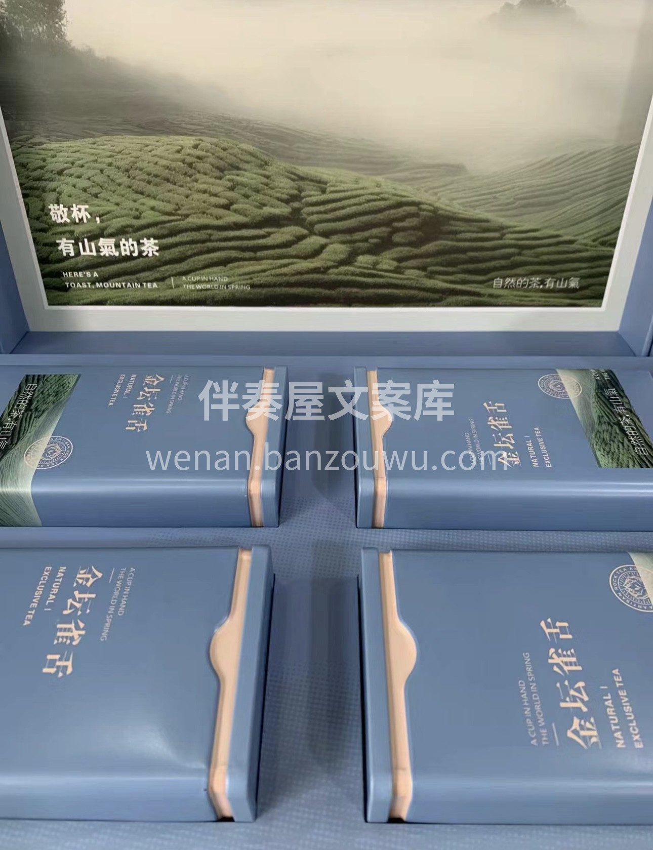金坛雀舌独特的茶形和口感，让爱茶人爱不释 配图2