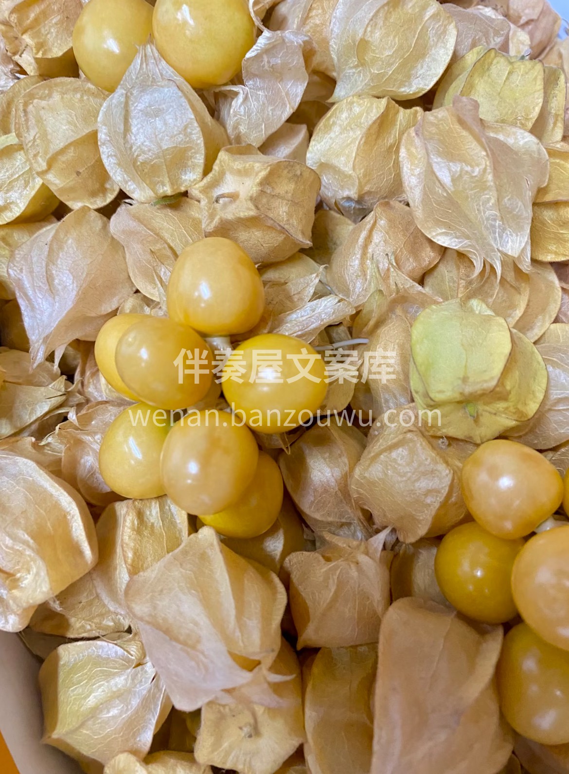 东北姑娘果上新啦‼️ 果皮薄如蝉翼，果肉 配图3